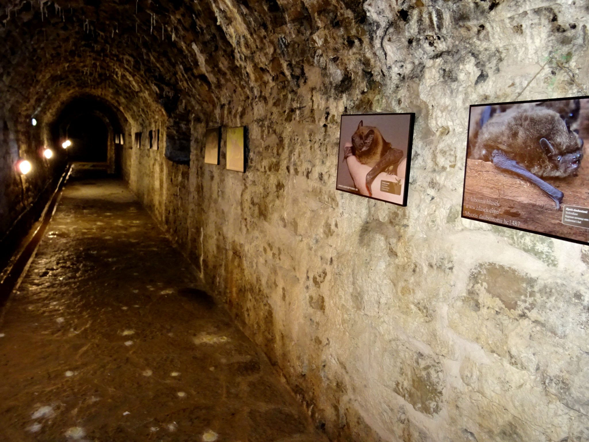 Внутри казематов бастиона Виктория, Нарва